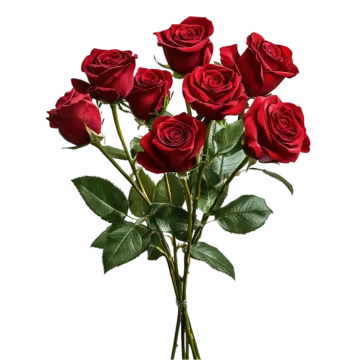 a bunch of red roses on a white background