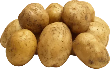 a pile of potatoes on a white background