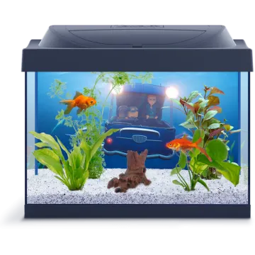 a fish tank with an aquarium in it
