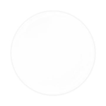 an empty white plate on a white background
