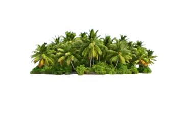a small island in the middle of the ocean