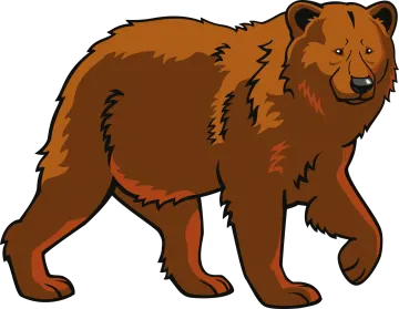 a brown bear walking on a white background