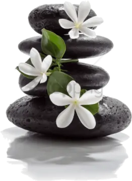 a pile of black stones with white flowers