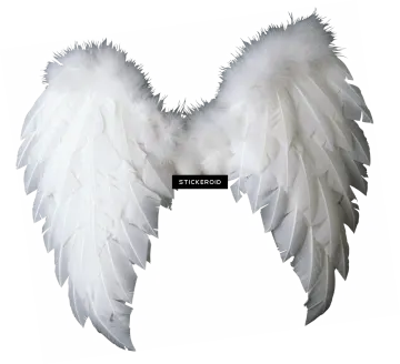 a pair of white wings on a white background