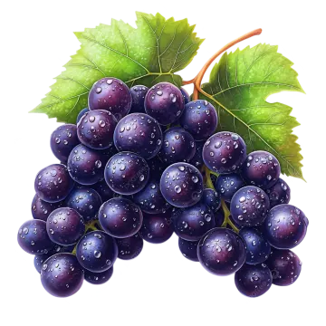 a bunch of grapes with water drops