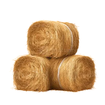 three straw bales on a white background
