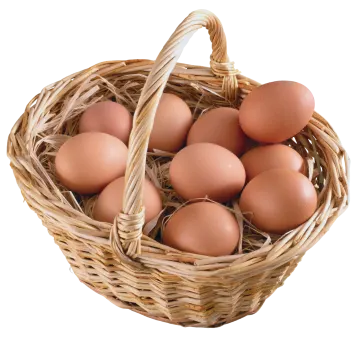 a basket of eggs on a white background