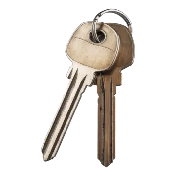 a bunch of keys on a white background