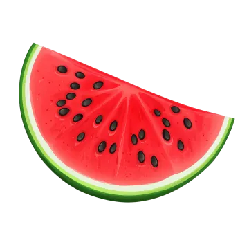 a slice of watermelon