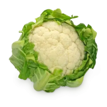 a head of caulia on a white background