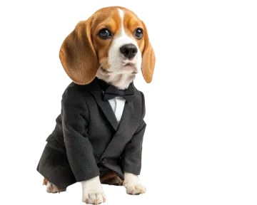 a small dog wearing a suit and tie