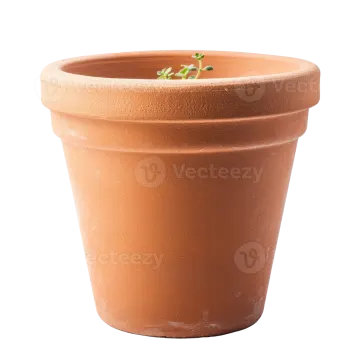 a pot with a small plant in it