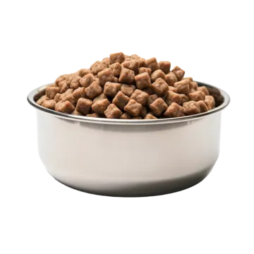 a bowl full of dog food on a white background
