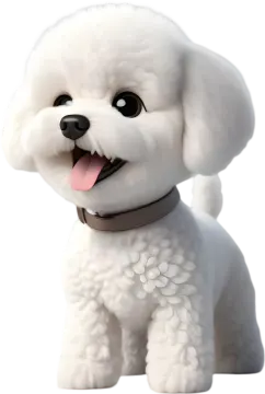 a small white dog with a black collar