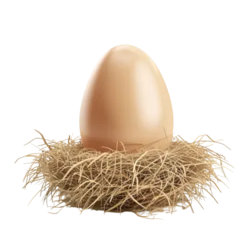 an egg in a nest with straw