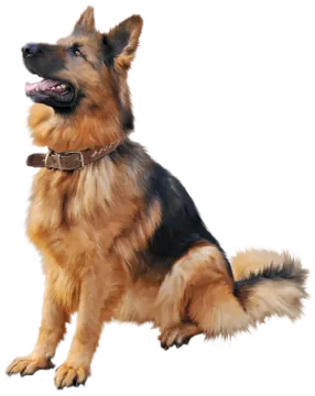 a painting of a dog on a white background