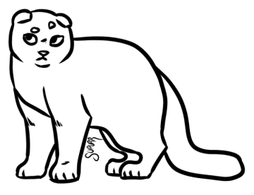 a black and white drawing of a cat