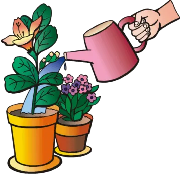 a hand watering a pot of flowers