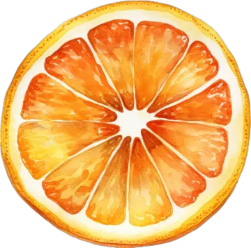 a watercolor painting of an orange slice