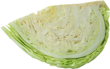 a wedge of cabbage on a white background