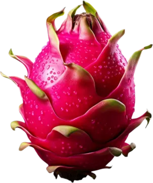 a pink flower with water droplets on it