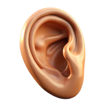 a close up view of the inside of an ear