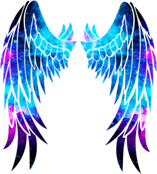 a pair of wings with galaxy in the background