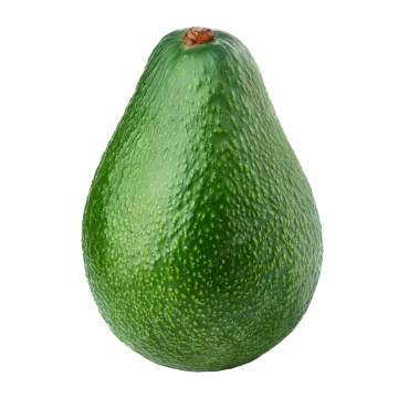 a green avoca on a white background