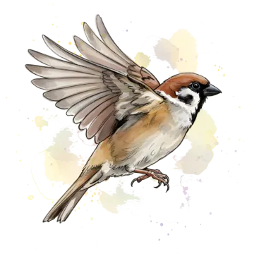 a bird with its wings spread out