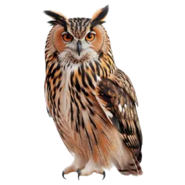 an owl sitting on top of a white surface