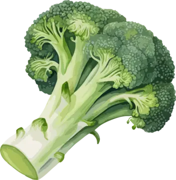 a bunch of green broccos