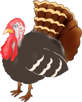 a turkey with a red head and brown feathers