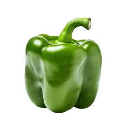 a green pepper on a white background