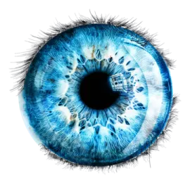 an image of a blue eye