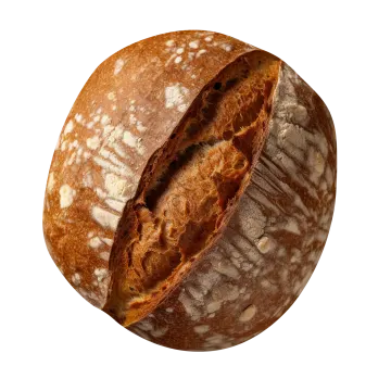 a piece of bread on a white background