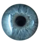 a close up of a blue colored eye