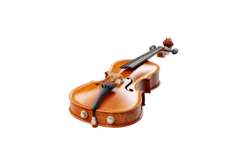 a violin on a white background