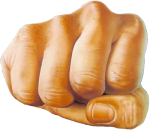 a fist is shown in the shape of a hand