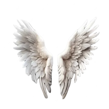two white wings on a white background