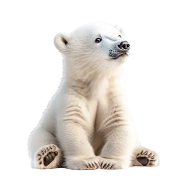a polar bear sitting on its hinds