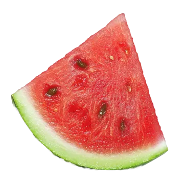 a slice of watermelon