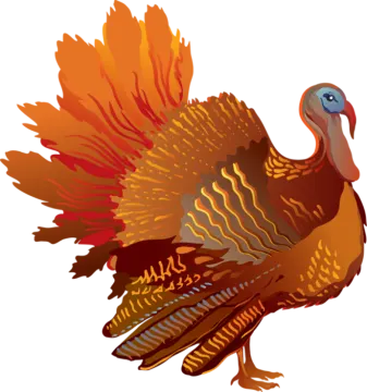 a turkey with orange feathers and blue eyes