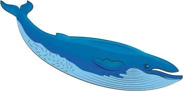 a blue whale on a white background