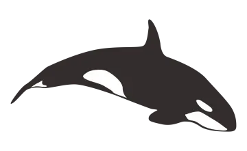 a black and white silhouette of an orca