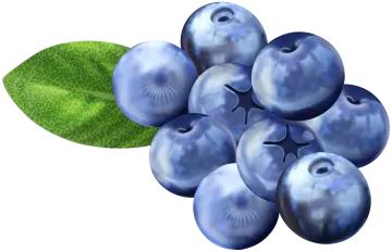 a bunch of blueberries with green leaves