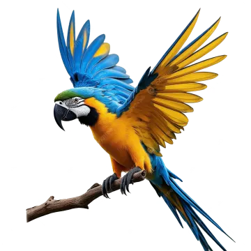 a blue and yellow parrot perched on a branch
