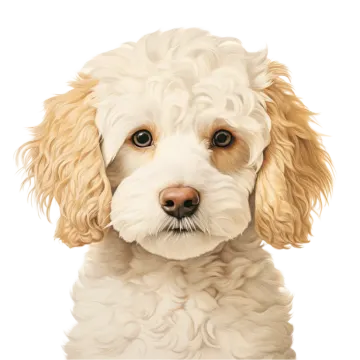 a white dog with brown eyes looking at the camera