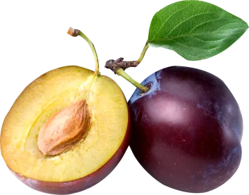 two plums with one cut in half