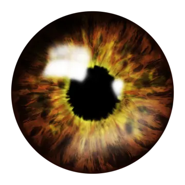a close up of an eye with yellow and orange colors