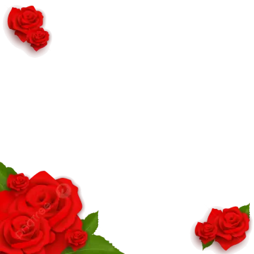 a white background with red roses and leaves